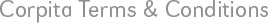 Terms and Conditions
